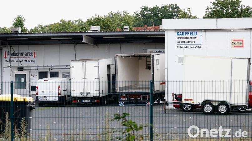 Zwei Tierärztinnen stehen im Zusammenhang mit dem Skandal um den Schlachthof Aschaffenburg vor Gericht. Bild: Heiko Becker/dpa