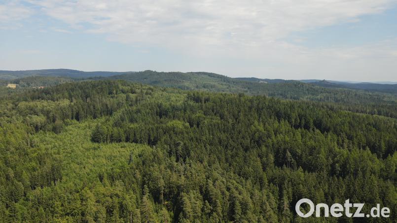 Werden im Bergwaldgebiet „Kogeri“ bei Flossenbürg bald Windräder stehen? Lutz Ihlow, Vorsitzender der „Bürgerinitiative zum Schutz von Mensch und Natur in der Gemeinde Plößberg“, hat das Foto aus südlicher Richtung aufgenommen. Hinten rechts am Horizont die Burgruine Flossenbürg, die laut dem Bayerischen Landesamt für Denkmalpflege nicht landschaftsprägend genug ist, um Windkraftanlagen zu verhindern. Bild: Lutz Ihlow/exb