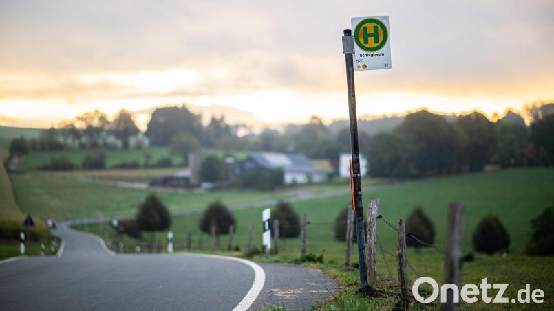 In Edelsfeld gibt es vorübergehende Änderungen im Busverkehr. Symbolbild: Jonas Güttler/dpa