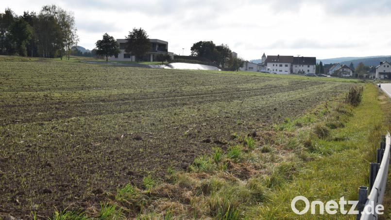 Das Gelände westlich von Altendorf ist für die Erweiterung des Gewerbegebietes vorgesehen. Für dieses Gebiet besteht ein Vorkaufsrecht der Gemeinde. Bild: bnr