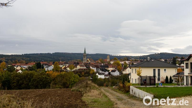 Angrenzend an das bestehende Baugebbiet, mit Blick auf den Stadtkern Erbendorfs: Hier soll das Baugebiet &quot;Naabhöhe II&quot; entstehen. Bild: lum