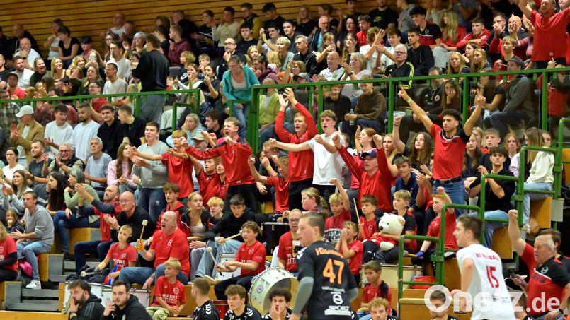 Auf die &quot;rote Wand&quot; in der Krötenseehalle wird es für den HC Sulzbach gegen den TV Altdorf ebenso ankommen wie auf die Leistung auf dem Feld. Archivbild: Hubert Ziegler