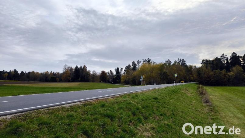 In der Nähe der Hohen Tanne könnten im Auerbacher Stadtwald zukünftig Windkraftanlagen in den Himmel ragen. Bild: jma