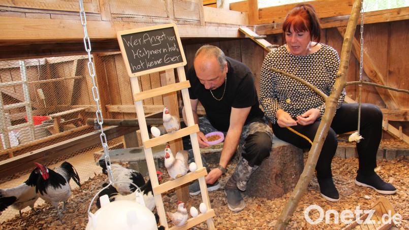 Ihre gefiederten Lieblinge werden auch die Züchter Andrea und Klaus Zeitler bei der Lokalschau präsentieren. Bild: kro
