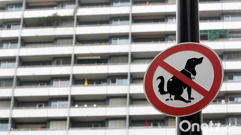 In Maxhütte-Haidhof ist ein Streit zwischen zwei 63-Jährigen eskaliert. Symbolbild: Roland Weihrauch /dpa