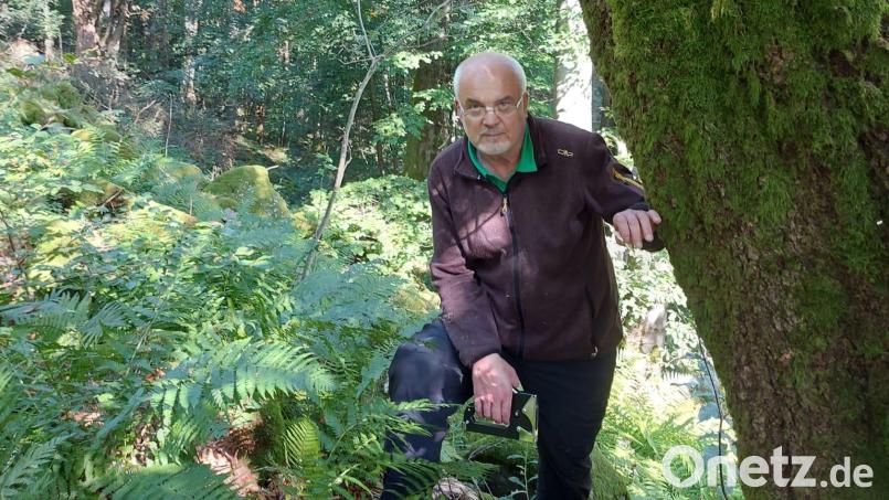 Hier im Wald fühlt sich Johannes Bradtka wohl. Für den VLAB macht der Vorsitzende aber auch viel Arbeit am Schreibtisch. Bild: Bradtka/exb
