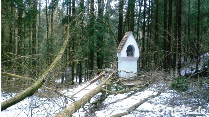 Das Wunder vom Peutental: 2013 stürzte bei einem Sturm eine mächtige Buche um und verfehlte das Marterl nur um die sprichwörtliche Haaresbreite. Archivbild: ge