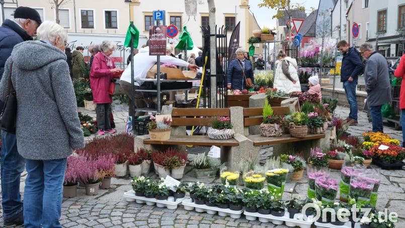Der untere Marktplatz in Schwandorf gleicht am Sonntag einer kleinen Gartenschau. Bild: Hirsch