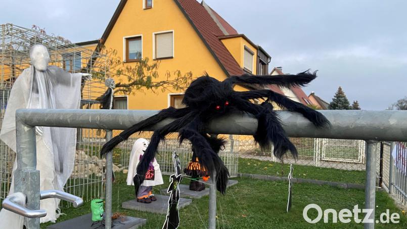 Diese schwarze Spinne mit roten Augen begrüßt Besucher an der Katharinenfriedhofstraße 38. Bild: zre