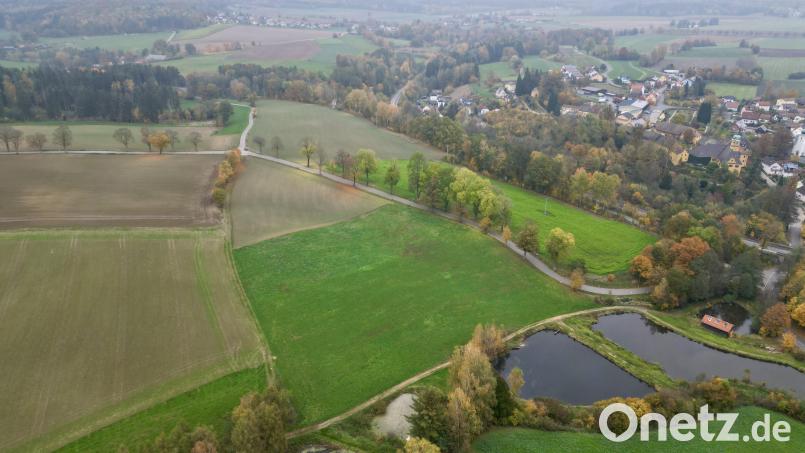 Die Kreisstraße TIR 34 bei Krummennaab und Reuth bei Erbendorf ist vom 4. bis voraussichtlich 8. November gesperrt. Auf der Allee müssen Bäume gepflegt werden, informiert das Landratsamt Tirschenreuth. Bild: nza