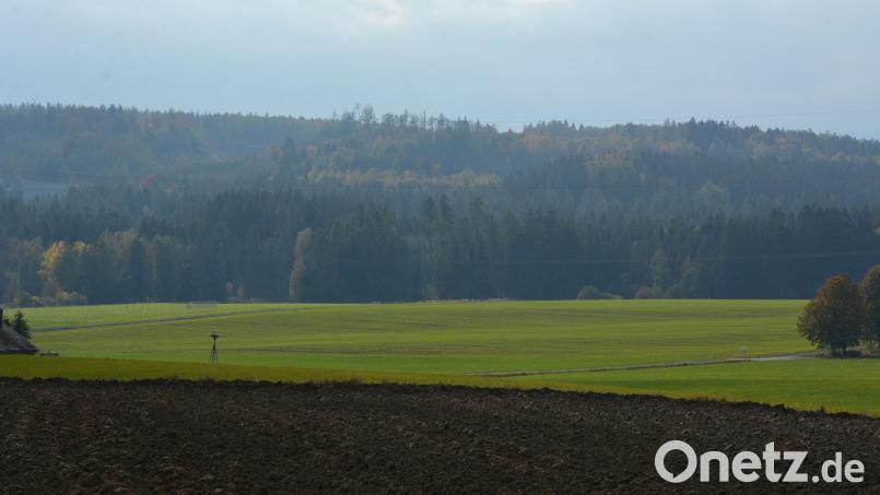 Laut der Vorlage zur Oktober-Sitzung des Marktrates liegt die Windgüte im Waldgebiet „Hirschentanz“ (Bild) unter 50 Prozent, was dort Windkraftanlagen ausschließen würde. Der Regionale Planungsverband jedoch spricht zwar prinzipiell von einer Windgüte von bis zu 85 Prozent im Gemeindegebiet, jedoch von anderen Ausschlusskriterien. Archivbild: jr