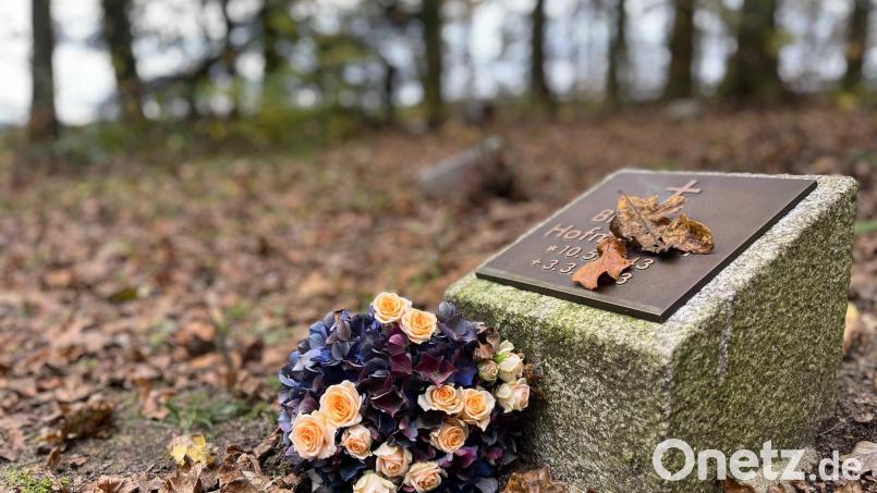 Auf dem Urnenwaldfriedhof in Eschenbach sollen Menschen in der Natur ihre letzte Ruhe finden. Bild: Gabi Schönberger
