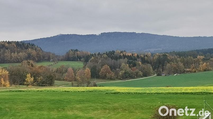 Aus Richtung Winklarn ist im Hintergrund das zusammenhängende und nach oben hin steil ansteigende Waldgebiet am Bergmassiv des Frauensteins sichtbar. Der Marktrat Winklarn spricht sich gegen die Ausweisung eines Windkraft-Vorranggebietes aus. Bild: amö