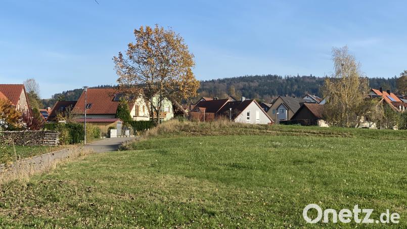 Der Marktgemeinderat Waldthurn hat die Absenkung der Grundsteuerhebesätze A und B beschlossen. Bild: fvo
