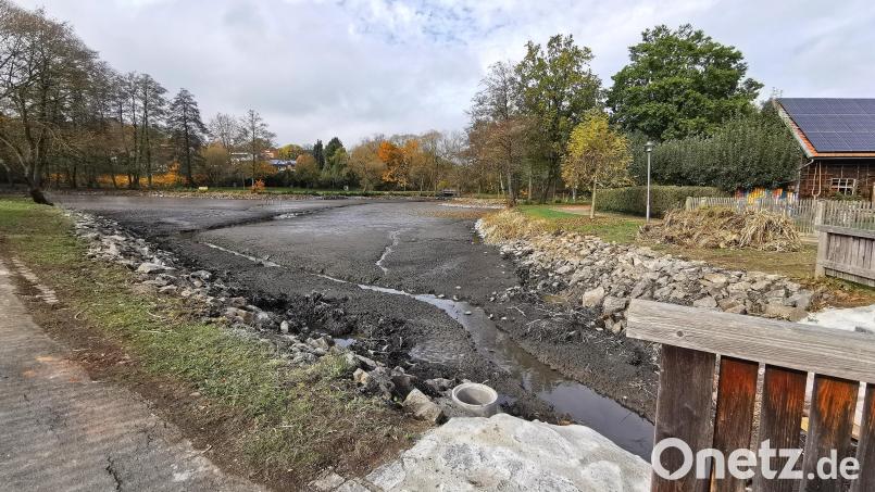 Der Marktweiher in Oberviechtach wird saniert. Dazu soll die altstadtnahe Grünanlage künftig mehr Aufenthaltsqualität bieten. Bild: Portner