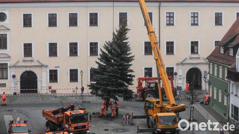 Auch der Malteserplatz hat wieder seinen Weihnachtsbaum bekommen. Bild: Wolfgang Steinbacher