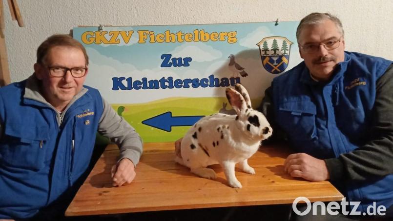 Der Dalmatiner Rex dreifarbig wird einer der „Stars“ der Schau sein. Auf diese freuen sich Stephan Müllinger (links), Vorsitzender des Ausrichters Geflügel- und Kaninchenzuchtverein, und Edwin Seidel, Ausstellungsleiter und Kreisvorsitzender der Kaninchenzüchter im Kreis Wunsiedel. Bild: gis