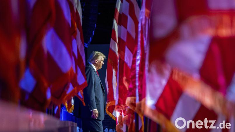 Donald Trump wird wieder Präsident der USA. Bild: Julia Demaree Nikhinson/dpa