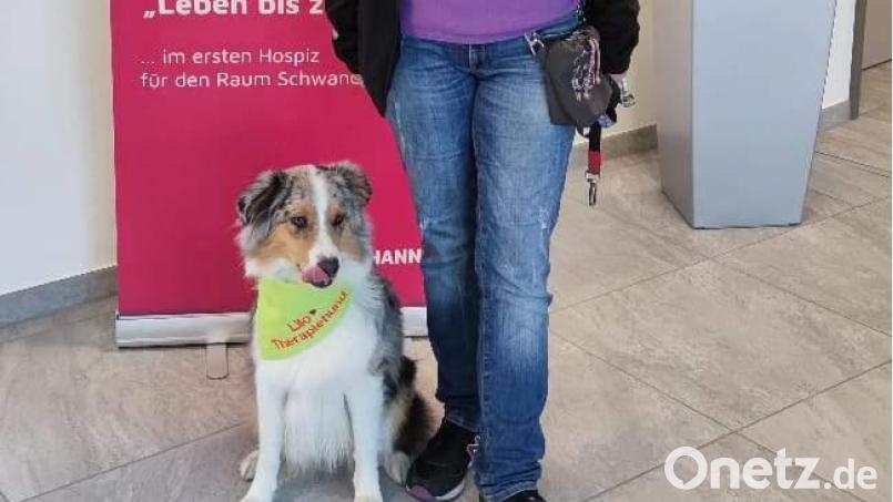 Licht und Herzenswärme brachte die Therapiehündin Lilo vom Obersee einer Patientin im Bruder-Gerhard-Hospiz in Schwandorf. Mit im Bild ihre Besitzerin - die Hospizbegleiterin und Hundeführerin Brigitte Reichenbach. Bild: u