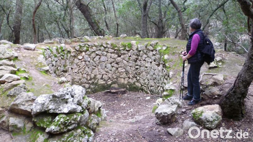Überall in Europa mit Kalk- und Dolomitstein-Vorkommen finden sich noch Spuren historischer Kalköfen weitgehend gleicher Bauart, so auch auf der Mittelmeerinsel Mallorca. Bild: wsl