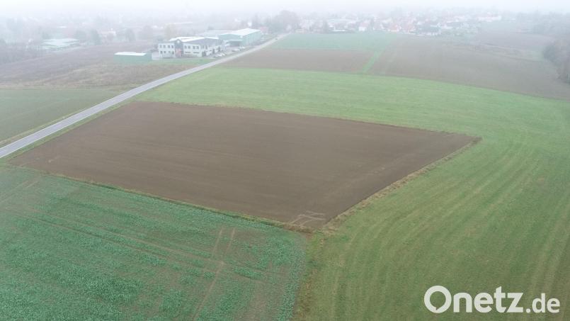 Auf der Grünfläche oberhalb des umgeackerten Feldes sollte der Batteriespeicher errichtet werden. Bild: bey