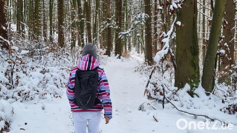 Anfang Dezember geht es durch den frisch eingeschneiten Wald bei Hersbruck. Bild: Wolfgang Würth