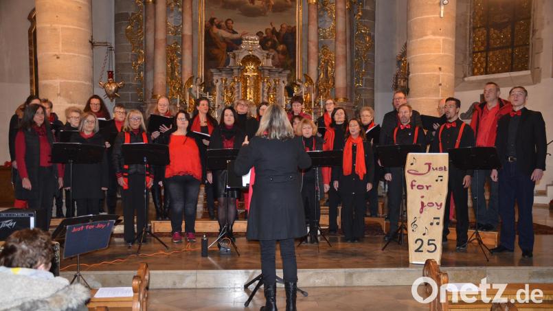 Der Chor &quot;Just for Joy&quot; begeisterte mit seinem Auftritt in der Stadtkirche. Bild: ak