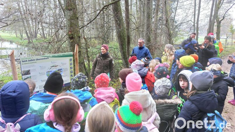 Zusammen mit 38 Kindern der Grundschule Neukirchen und zahlreichen Gästen aus Politik, Wirtschaft und Naturschutz eröffneten Bürgermeister Peter Achatzi und Naturparkrangerin Dr. Melanie Chisté (beide im Hintergrund) den Walderlebnispfad im Eiselbachtal. Bild: mfh