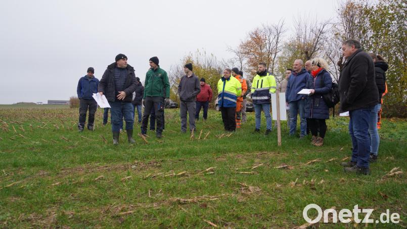 Pflanzenbaufachberater Martin Schreyer (links vorne) vom Amt für Ernährung, Landwirtschaft und Forsten Weiden erläutert die Versuchsreihe „Untersaat im Mais“ an der Demoanlage von Landwirt Georg Bocka im Wasserschutzgebiet Waldthurn. Bild: fvo