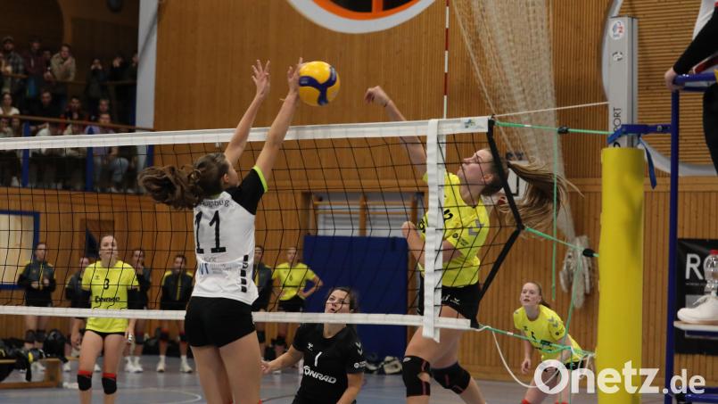 Für die Volleyballerinnen des SV Hahnbach (gelbe Trikots) geht es am Wochenende zum MTV Rosenheim. Bild: Andreas Emmel