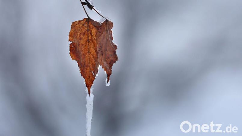 Ab Mitte der Woche sind Schneefälle zu erwarten, sagt Wetterexperte Andy Neumaier. Symbolbild: Karl-Josef Hildenbrand/dpa