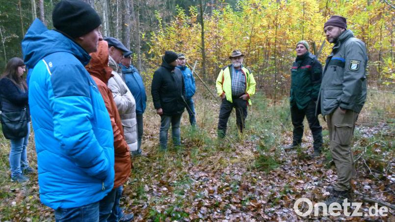 Forstdirektor Dr. Günter Dobler und Revierförster Martin Gottsche (von rechts) sahen in der Anpflanzung von Kastanien im Stadtwald einen Beitrag zum Waldumbau Bild: rn