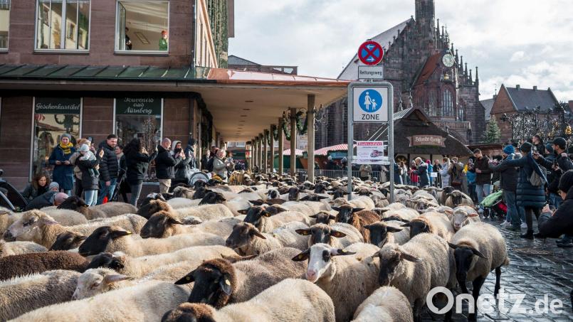 Der Schafzug durch die Innenstadt zieht mittlerweile viele Schaulustige an. Bild: Daniel Vogl/dpa