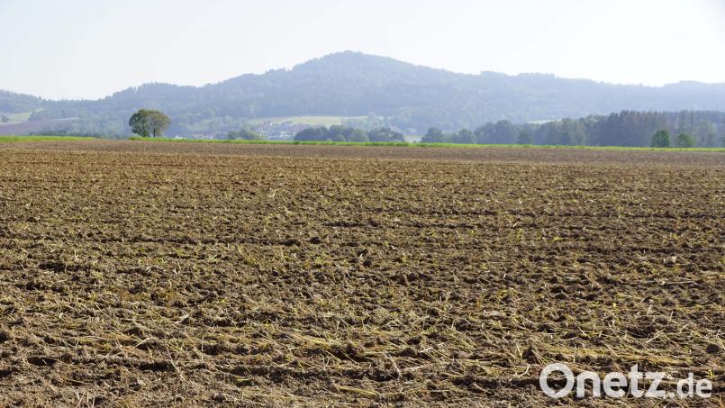 Westlich von Altensteinreuth soll auf einer Fläche von rund 13 Hektar ein Solarpark entstehen. Im Hintergrund sind der Armesberg und an seinem Fuß Altensteinreuth zu sehen. Bild: bkr
