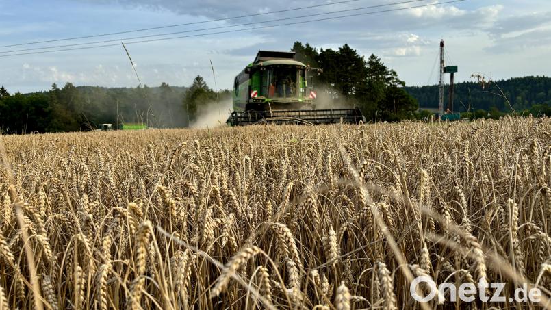 Der Grundsteuer-Hebesatz für landwirtschaftliche Flächen in der Gemeinde Hirschbach beträgt ab 2025 in der Gemeinde Hirschbach 300 Prozent. Bild: lei