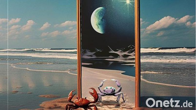 Gemini Crab – Gen Y Lens (Edel) Bild: Edel