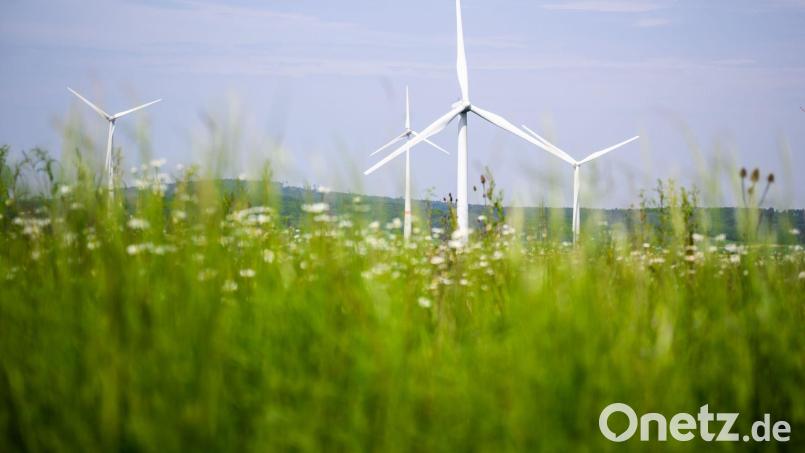 In einer Befragung konnten die Bürger aus dem Schönseer Land ihre Meinung zum Thema Windkraft äußern. Symbolbild: Julian Stratenschulte/dpa