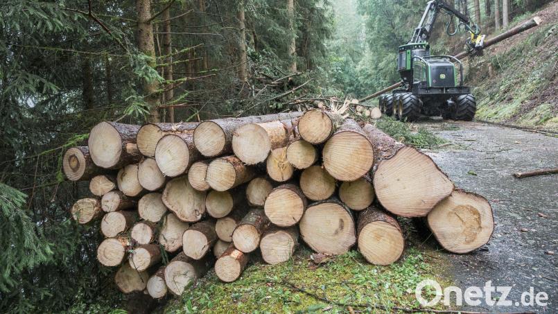 Die Verstärkte Nutzung heimischer Rohstoffe wie Holz soll die bayerische Wirtschaft wettbewerbsfähiger und klimaneutraler machen. Symbolbild: Daniel Vogl /dpa