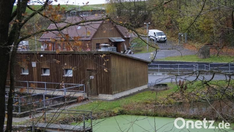 Das Betriebsgebäude der Abwasseranlage wird mit Photovoltaik ausgestattet. Eine sinnvolle Entscheidung, wie Bürgermeister Norbert Eckl sagt Bild: wel