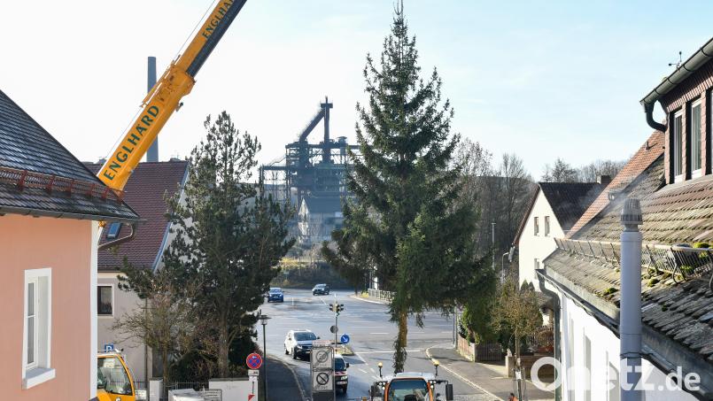 Auch Rosenberg kommt nicht zu kurz: Vor der Kulisse des Maxhütte-Hochofens hebt der mächtige Autokran die Rotfichte in die Verankerung am Dorfplatz. Der Baum stammt aus Wald in städtischem Besitz. Bild: Petra Hartl