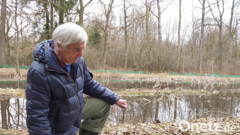 Peter Zahn vom Bund Naturschutz Amberg-Sulzbach kontrolliert den Schutzzaun rund um den künstlich angelegten Weiher nahe der Bereitschaftspolizei. Gerade beim Amphibienschutz hat sich die Kreisgruppe unter der Verantwortung des engagierten Umwelt- und Artenschützers große Verdienste erworben. Archivbild: jeh