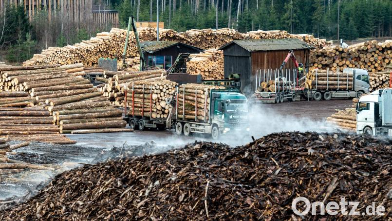 Vom größten Sägewerk Europas zum Boom-Unternehmen, von Millionen-Investitionen bis zu roten Zahlen und Insolvenz. Ein Blick auf die Ziegler-Firmengeschichte. Bild: Armin Weigel/dpa