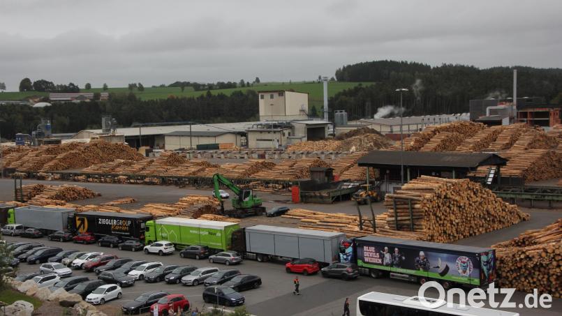 Ein Bild aus besseren Zeiten: Das Holzlager am Sägewerk der Ziegler-Gruppe bei Plößberg ist gefüllt. Archivbild: Benkhardt