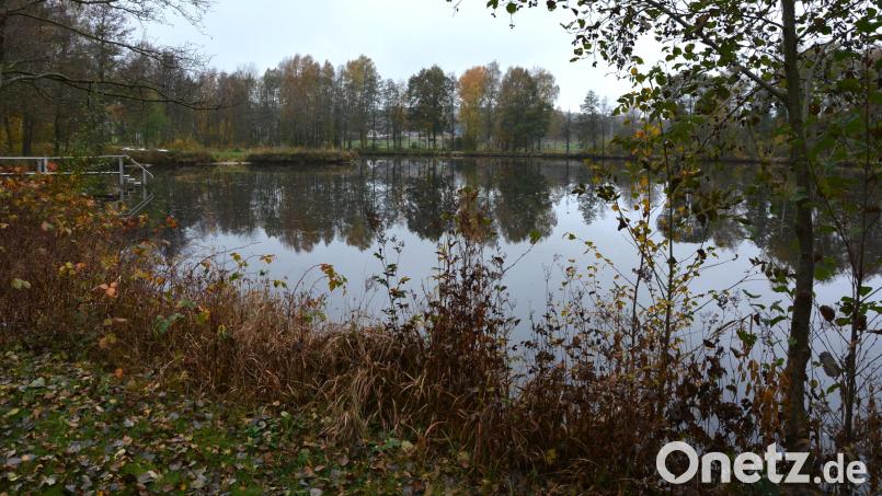 Der Bärnauer Moorweiher ist gut einen Hektar groß. Bild: jr