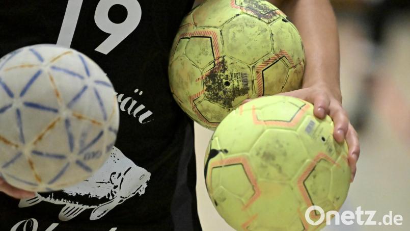 Die Handballer der SG Auerbach/Pegnitz haben gewonnen. Bild: Hubert Ziegler