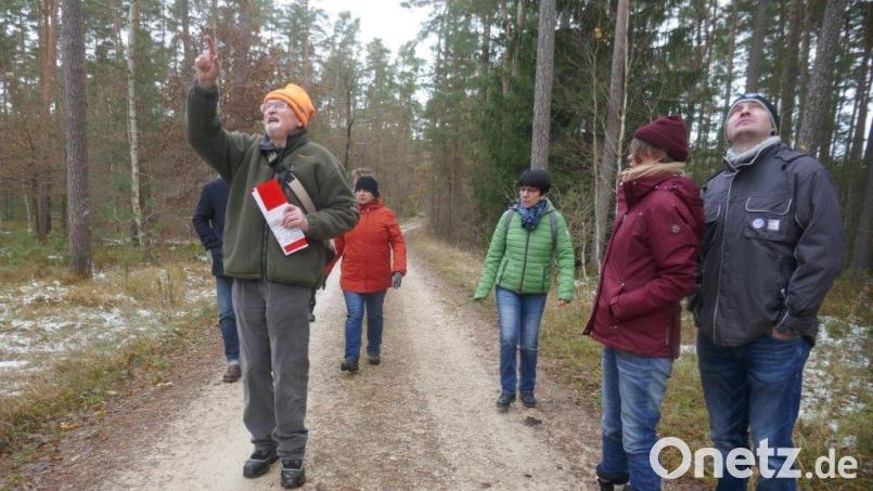 Der CSU-Ortverband Amberg Bergsteig-Milchhof war am Samstag auf dem Standort Übungsplatz Freihöls, und hat sich mit dem Zustand des Oberpfälzer Waldes beschäftigt. Der Referent Alexander Patt zeigte anhand einer 45-minütigen Präsentation im Pfarrsaal am Bergsteig die klimatischen Veränderungen auf und führte die Gruppe durch Teile des Standortübungsplatzes Freihöls, um diese Veränderungen auch aufzuzeigen und zu erläutern. Bild: Dieter Stein