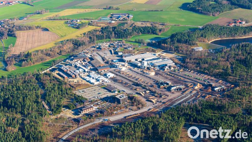 Was wird aus Europas größtem Sägewerk und weiteren insolventen Betrieben der Ziegler-Group? Diese Frage war auch Thema im Marktrat Plößberg. Die Rundholzvorräte auf der Betzenmühle sind schon zusammengeschrumpft. Bild: mür