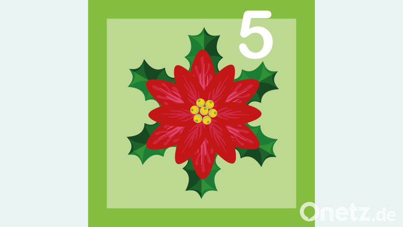 Türchen Nr. 5 beim Junior-Club-Adventskalender. Bild: Laura Fröhler