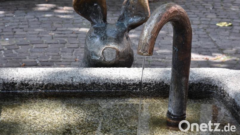 Der Schweinchenbrunnen am Viehmarkt in Amberg war Schauplatz einer Körperverletzung, die nun ein juristisches Nachspiel hat. Bild: Stephan Huber