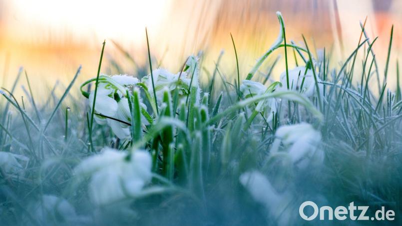 In Bayern wird es glatt und frostig, doch es bleibt grün: Schnee fällt in den kommenden Tagen kaum. Symbolbild: Pia Bayer/dpa